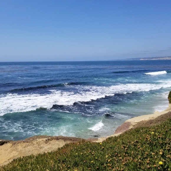 Meet your Posher, Madi - Picture 1 of 1